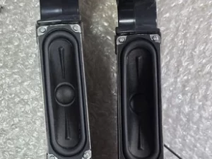 Samsung UA55J6200AW  Set Of Speakers, BN96-30334L